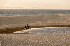 Passeio a cavalo na praia de Melides