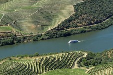 Cruzeiro no Douro Régua - Pocinho - Régua