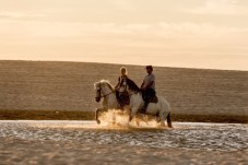 Pack Pedido de Casamento: Passeio a Cavalo na Areia + Pic-nic + Violinista