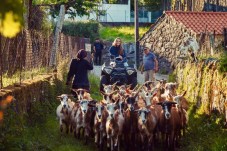 Passeio de Quad no Parque Nacional da Peneda - Gerês (4h00) p/2